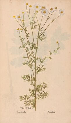 Ectypa vegetabilium Pl.131 (1760-1764) — size preview