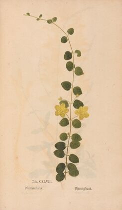 Ectypa vegetabilium Pl.148 (1760-1764)