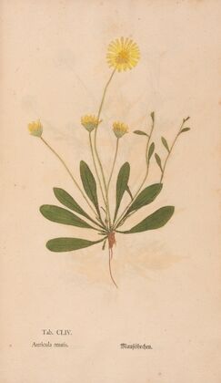 Ectypa vegetabilium Pl.154 (1760-1764) — size preview