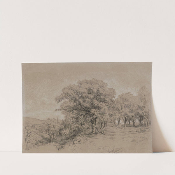 Edelkastanien bei Schönberg im Taunus by Louis Eysen