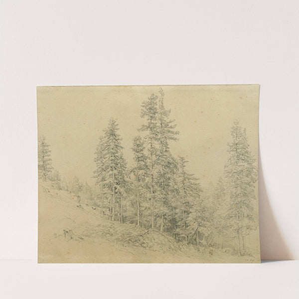 Edeltann by Josef Höger