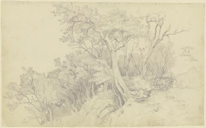 Edge of the forest near Olevano