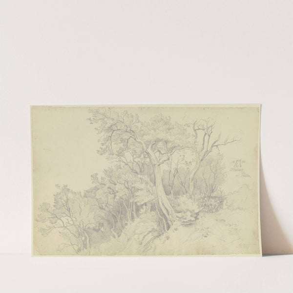 Edge of the forest near Olevano by August Lucas