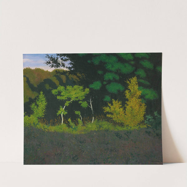 Edge Of The Wood (1920) by Félix Vallotton