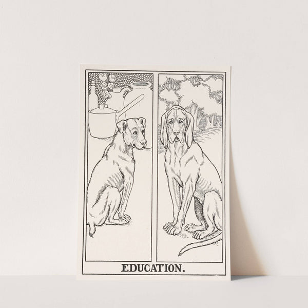 Education by Percy J. Billinghurst
