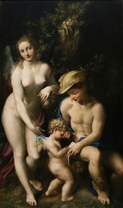 Education of Cupid