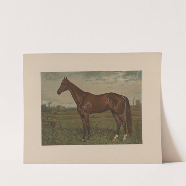 Edwin Thorne by Scott Leighton