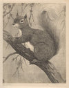 Eekhoorn (1921)