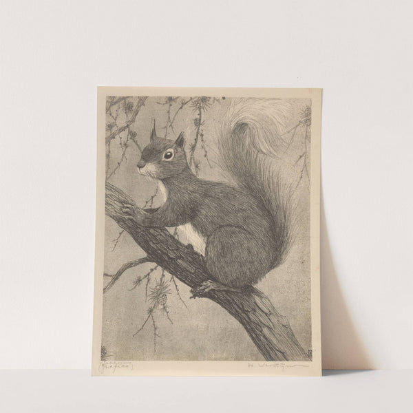 Eekhoorn (1921) by Henri Verstijnen