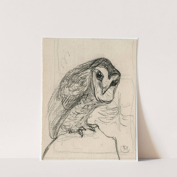 Een kleine uil by Theo van Hoytema