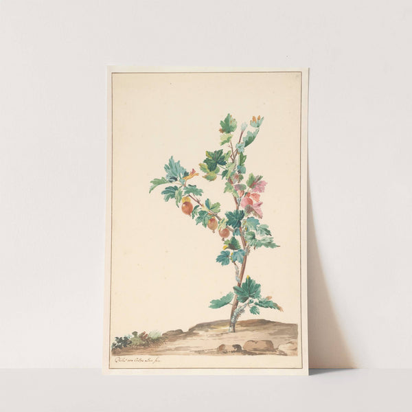 Een kruisbes in een landschap by Willem van Leen