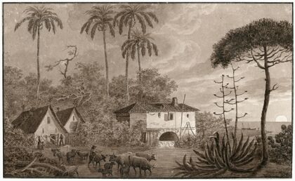 Een molen in de omgeving van Valencia