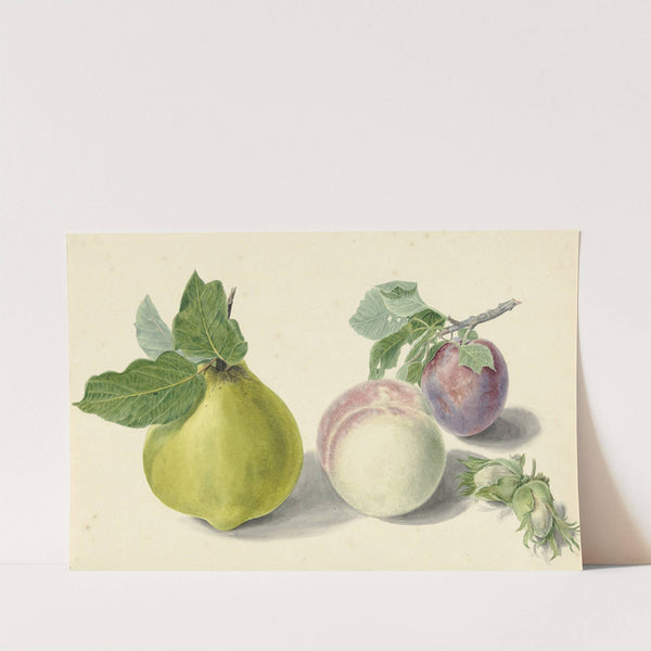 Een peer, perzik, pruim en noten, after Michiel van Huysum by Elisabeth Geertruida van de Kasteele