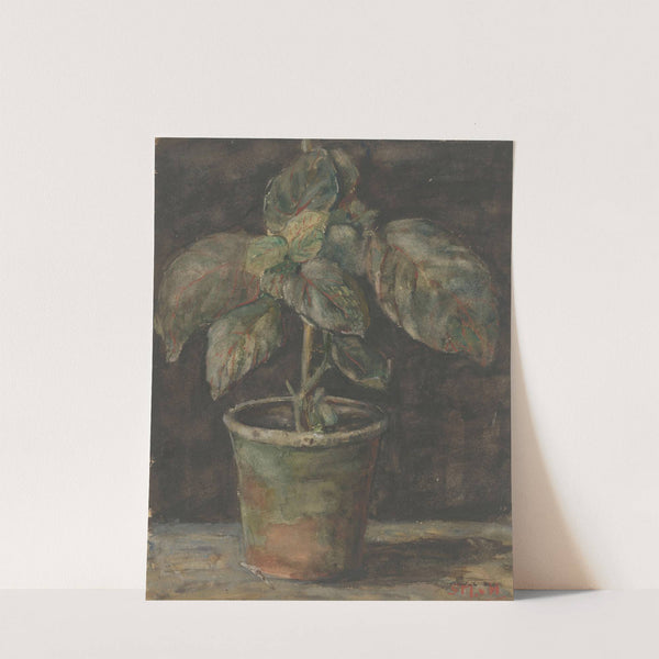 Een potplant by Sientje Mesdag Van Houten