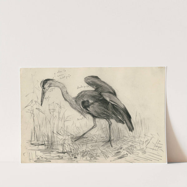 Een reiger aan de waterkant by Frans Smissaert