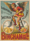 Eenhoornstraat Rotterdam. ‘Tweespaak’. ‘Velocipedes’. Bingham & Co. (1893)