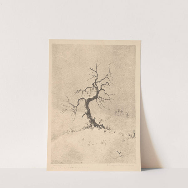 Eenzame boom (1892-1940) by Henri Verstijnen