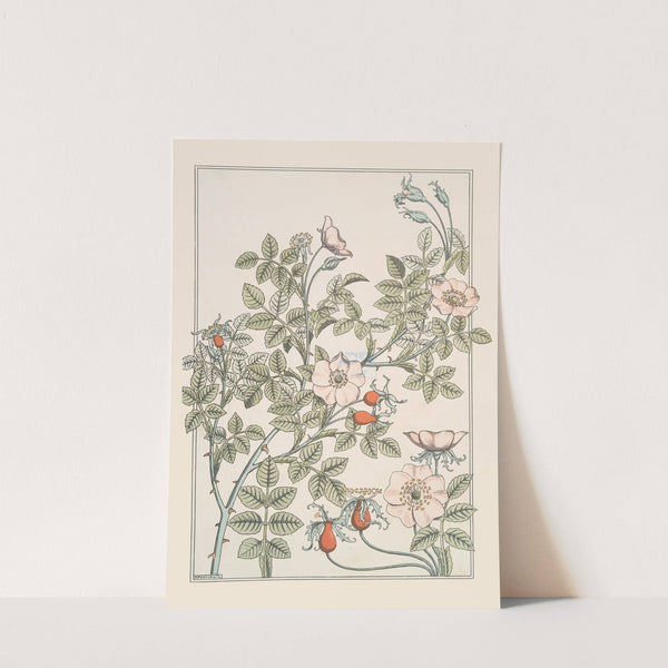 Eglantier by Maurice Pillard Verneuil