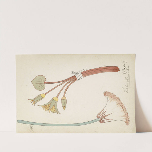 Egyptisch ornament met lotusbloem en -knop by Johanna van de Kamer