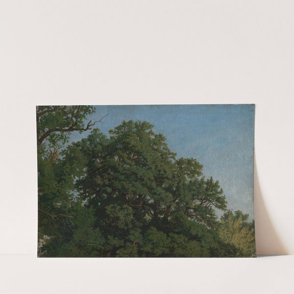 Eichenkronen by Emil Lugo