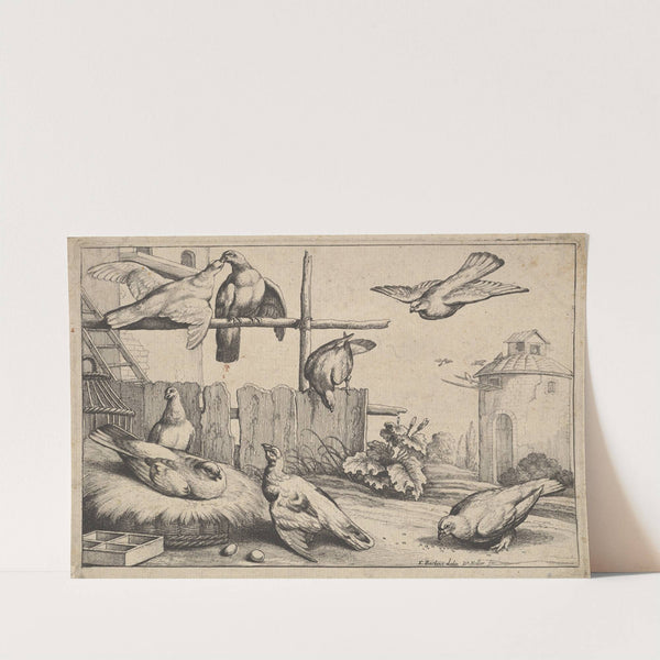 Eight Pigeons (or Doves) in a Farmyard near a Coup, a Dovecote in the Background (1654–58) by Wenceslaus Hollar