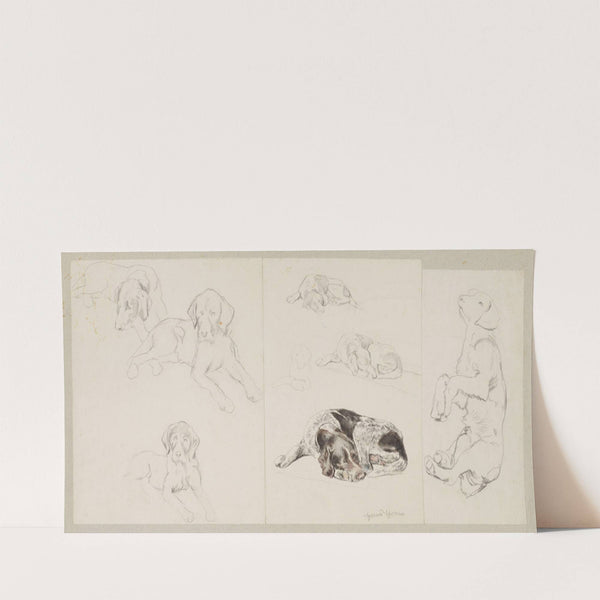 Eight Studies of a German Pointer (1865 - 1885) by Hans Thoma