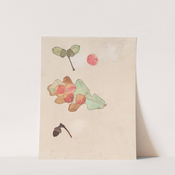 Eikenblad met gallen en eikels by Theo Nieuwenhuis