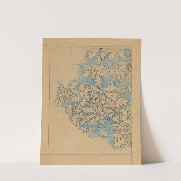 Eikenbladeren by Jan Veth