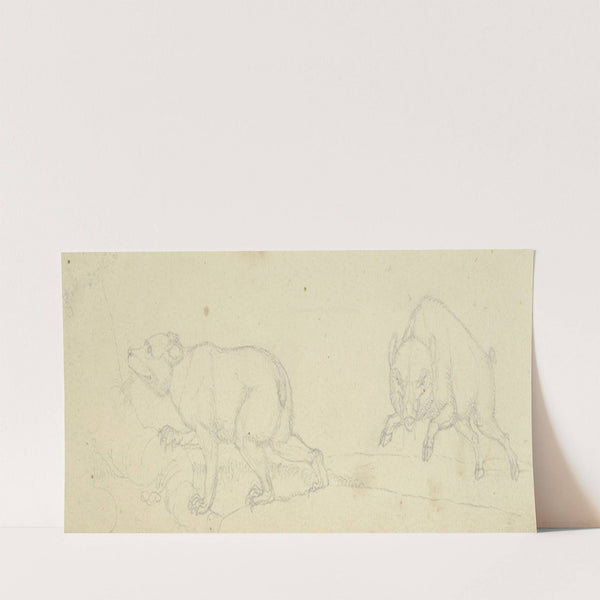 Ein Bär und ein angriffslustiges Wildschwein by Franz Pforr