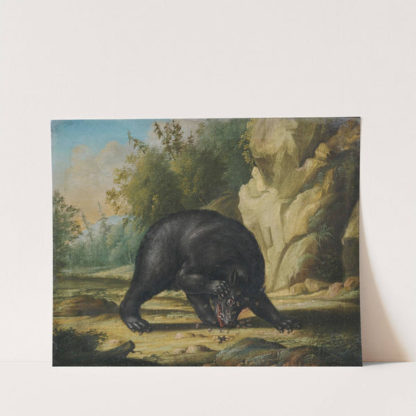 Ein Bär wird von Bienen attackiert by Georg Ernst Sandner