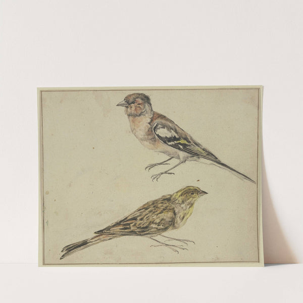 Ein Distelfink und ein Hänfling by Melchior d'''Hondecoeter