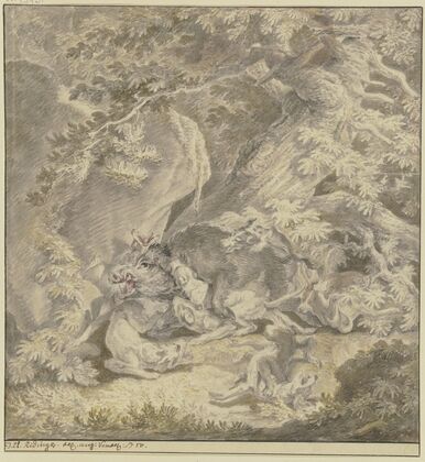 Ein Eber von sieben Hunden im Wald bei einem Felsen gestellt (1750)