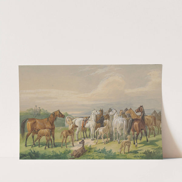 Ein gesatteltes Militärpferd kehrt zu seiner wilden Herde zurück by Johann Erdmann Gottlieb Prestel