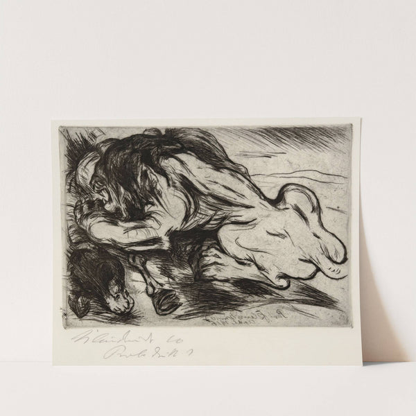 Ein Löwe reißt ein Zebu by Paul Kleinschmidt