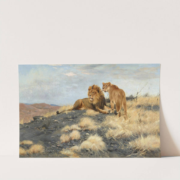 Ein Löwe und eine Löwin von einer Anhöhe die Umgebung beobachtend by Wilhelm Kuhnert