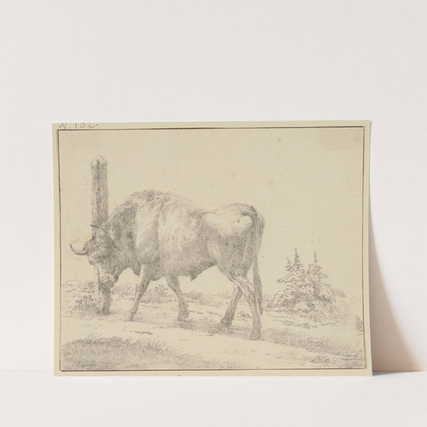 Ein Ochse, der sich mit dem Kopfe an einem Pfahl reibt by Karel Dujardin