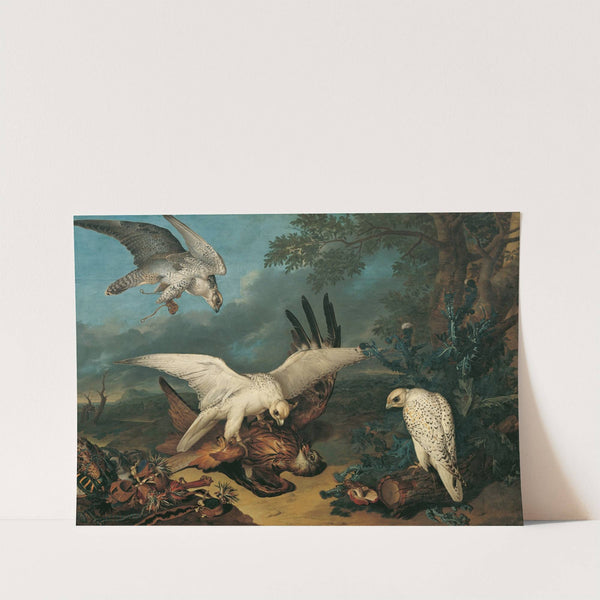 Ein Roter Milan, Von Isländischen Falken Besiegt (1745) by Philipp Ferdinand de Hamilton