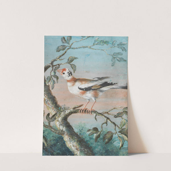 Ein Vogel Auf Einem Ast by Christoph Ludwig Agricola