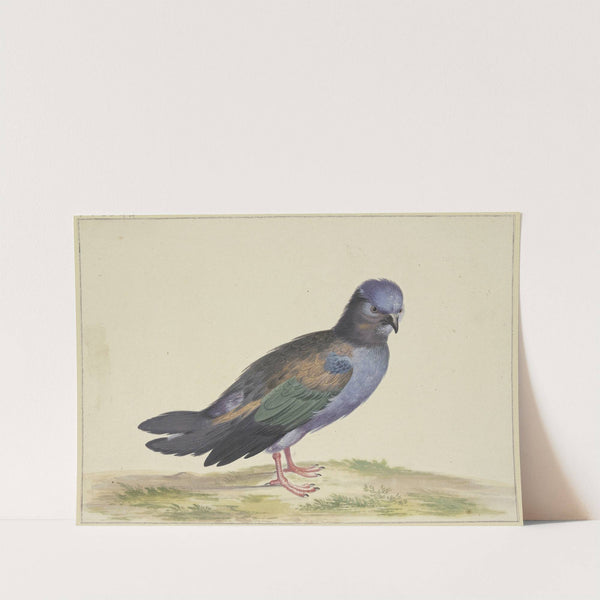 Eine blaue Taube mit grünen und schwarzen Flügeln by Herman Henstenburgh