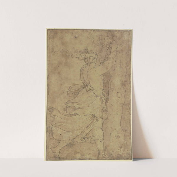 Eine halb entblößte Frau pflückt Früchte von einem Baum, Haar und Gewand fliegen im Wind by Polidoro da Caravaggio