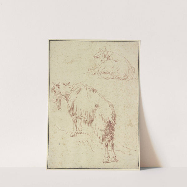 Eine stehende und eine liegende Ziege by Johann Melchior Roos