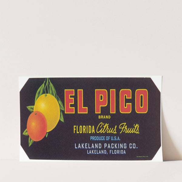 El Pico Brand Florida Citrus Fruit Label (1930-1950)