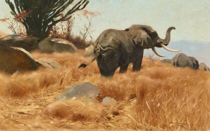 Elefant in der Savanne (1912)