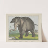 Elephant (1829-1880) by Joseph Scholz