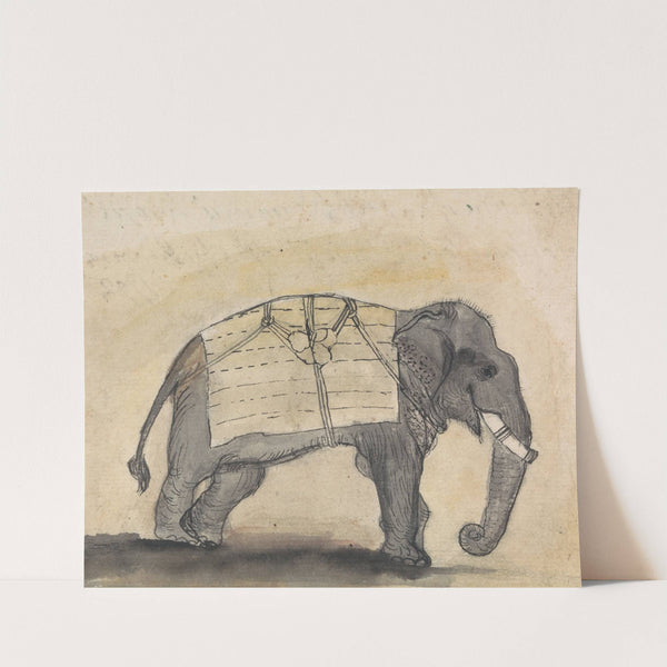 Elephant by Gangaram Chintaman Tambat