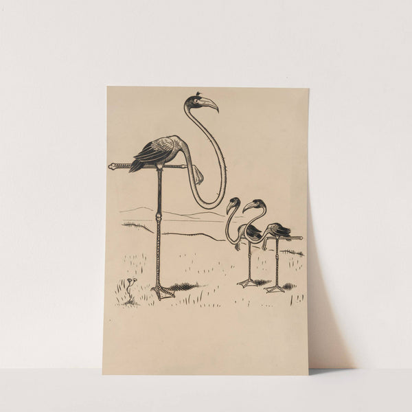 Eleven comic strip frames of flamingo shaping figures with its long neck Pl.1 by Franklin Morris Howarth
