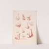 Eleven noses from different perspectives (1749-1849) by Louis-François Roubiliac