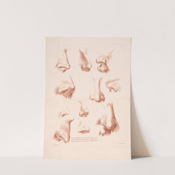 Eleven noses from different perspectives (1749-1849) by Louis-François Roubiliac