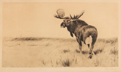 Elk (1915-1924)
