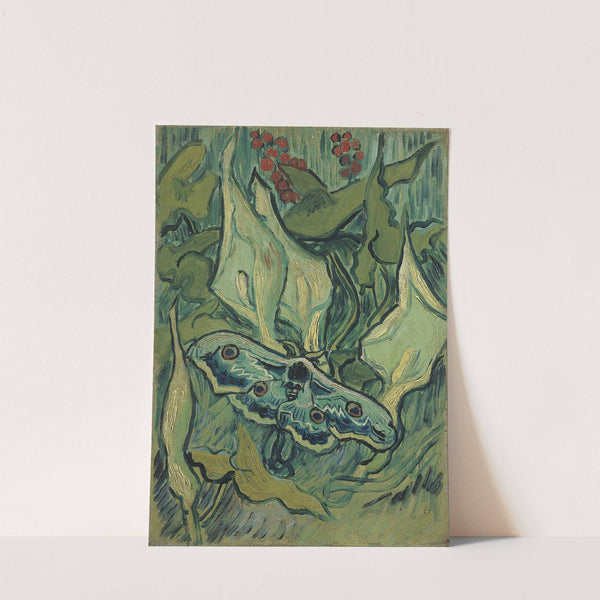 Emperor moth (1889) by Vincent van Gogh